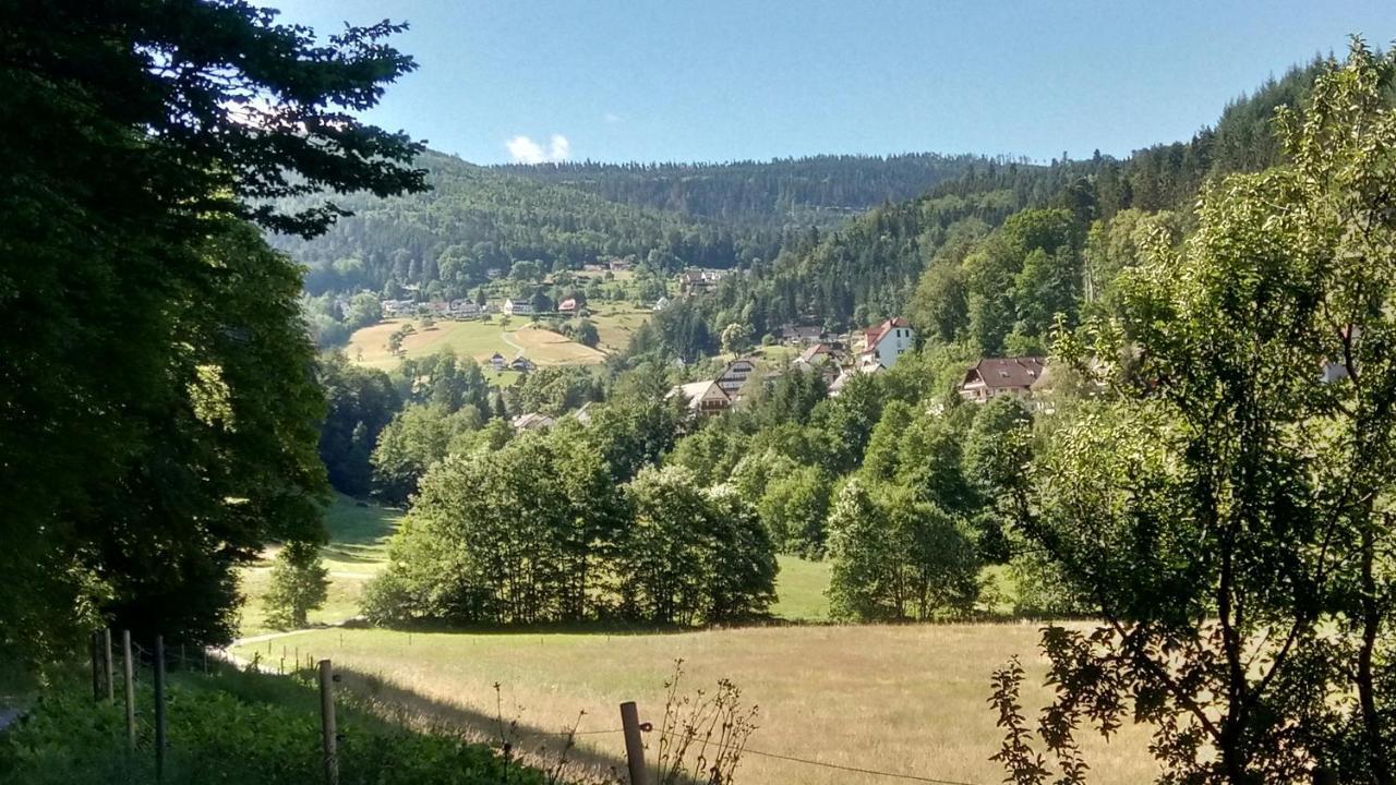 Alb-Rosa Appartement Bad Herrenalb Buitenkant foto